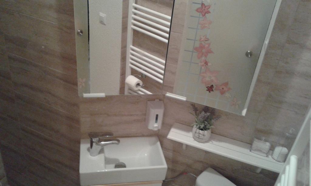 Apartment Duplex Alexander Brașov