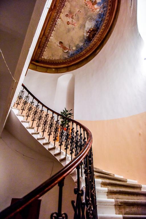 Duplex Alexander Brasov